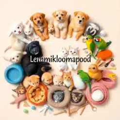 Lemmikloomapood - Lemmikloomatarbed sinu lemmikule